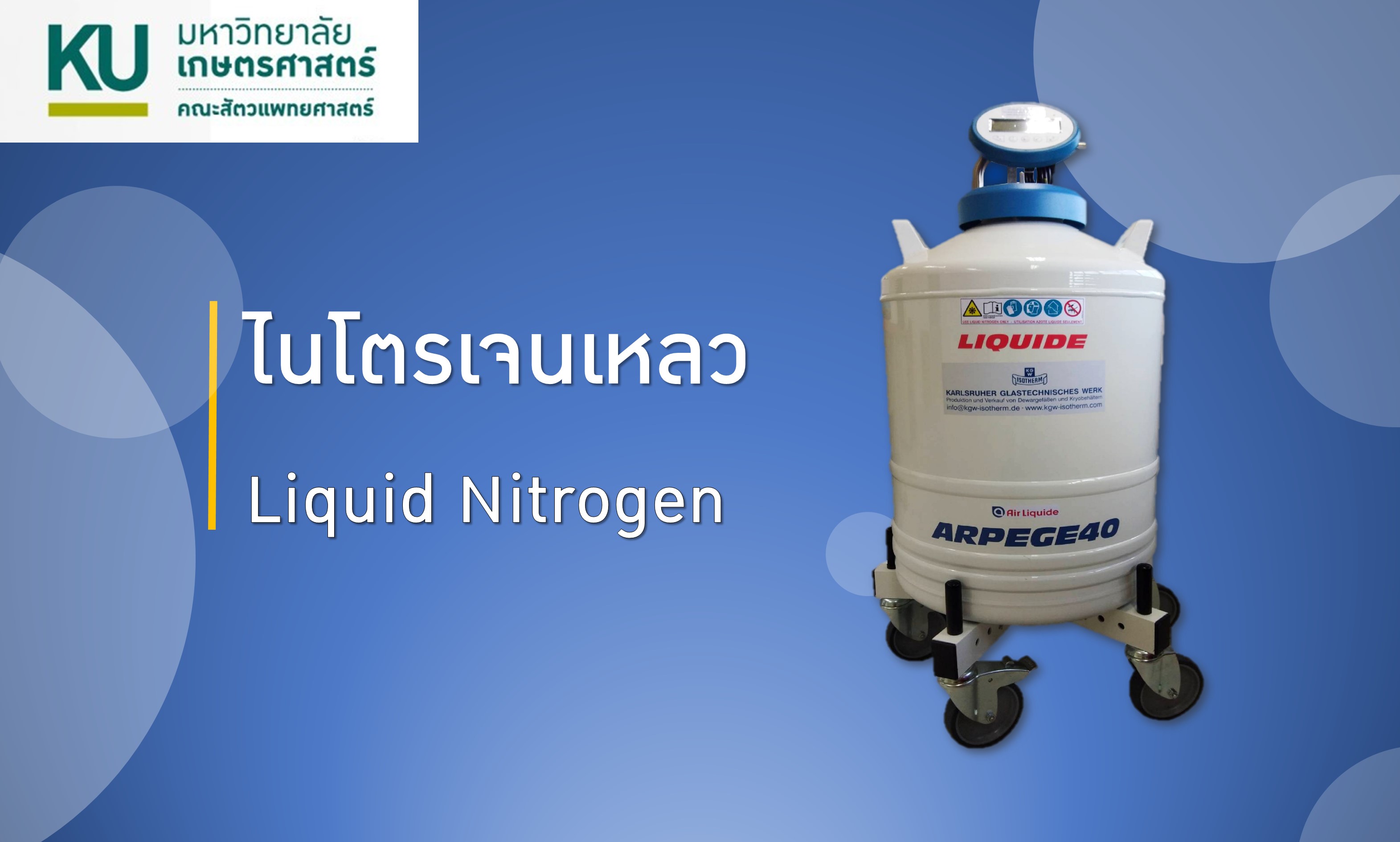 ไนโตรเจนเหลว (Liquid Nitrogen)